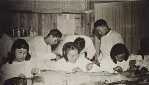 学生在寄生虫学部教学实验室开展医学研究