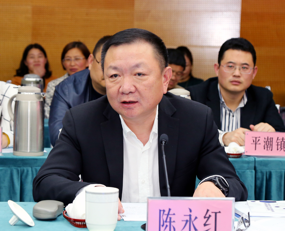 通州区常务副区长成小红讲话.