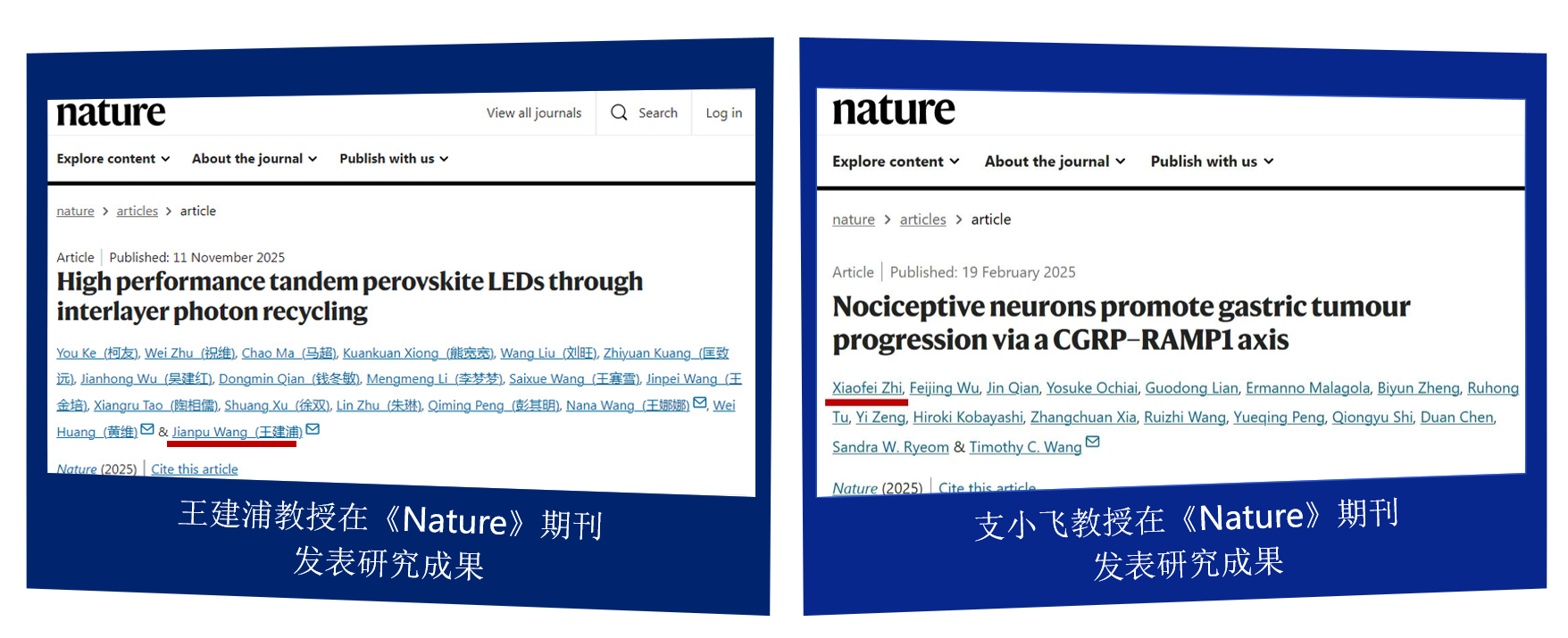 我校教师在《Nature》期刊上发表研究成果